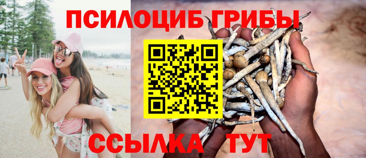 Галлюциногенные грибы GOLDEN TEACHER  Псилоцибиновые грибы Cubensis  Вход с VPN  Асбест 